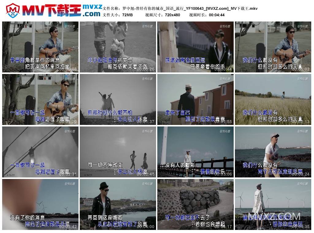 罗中旭-曾经有你的城市_国语_流行_YF100643